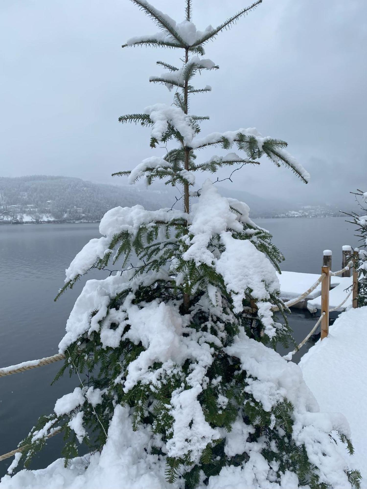 Kantor Lodges&Chalets Millstatt Bagian luar foto